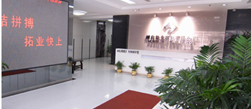 P020221124625405246023